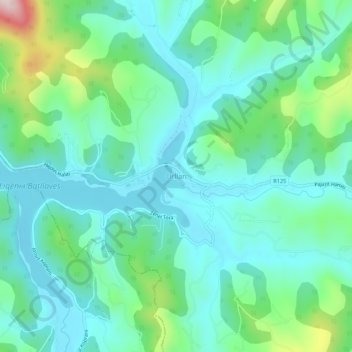 Orllan topographic map, elevation, terrain