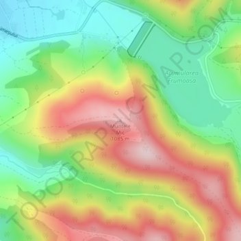 Muntele Mic topographic map, elevation, terrain