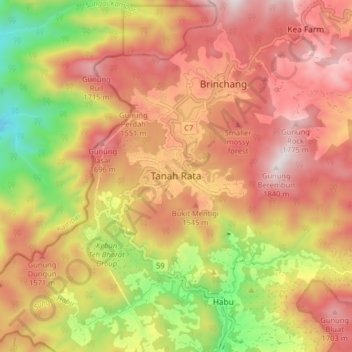 Tanah Rata topographic map, elevation, terrain