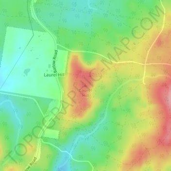 Laurel Hill topographic map, elevation, terrain