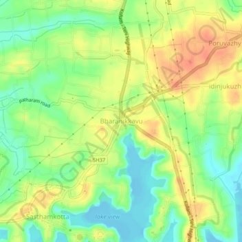 Bharanikkavu topographic map, elevation, terrain