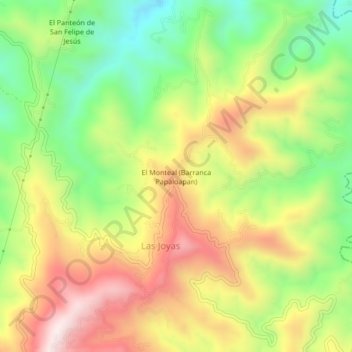 El Monteal (Barranca Papaloapan) topographic map, elevation, terrain
