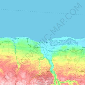 Arecibo topographic map, elevation, terrain