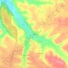 Bicas topographic map, elevation, terrain