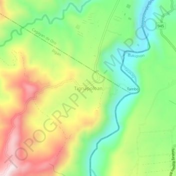 Tignapoloan topographic map, elevation, terrain