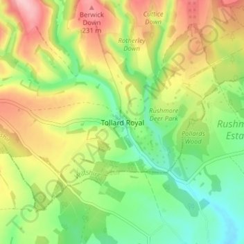 Tollard Royal topographic map, elevation, terrain