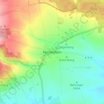 Reichenbach topographic map, elevation, terrain