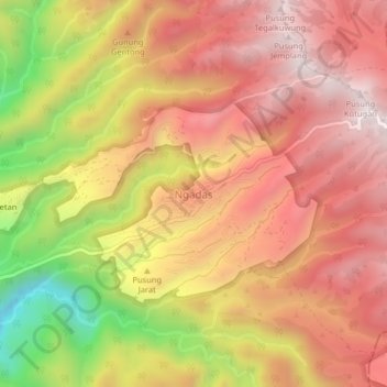 Ngadas topographic map, elevation, terrain