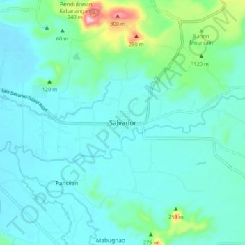 Salvador topographic map, elevation, terrain