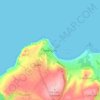 New Quay topographic map, elevation, terrain