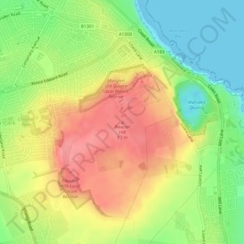 Beacon Hill topographic map, elevation, terrain