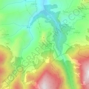 Ligonchio topographic map, elevation, terrain