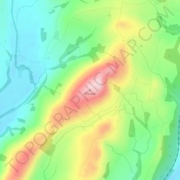 Fforest topographic map, elevation, terrain