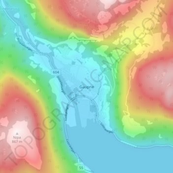 Gaupne topographic map, elevation, terrain