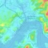 Tamoi topographic map, elevation, terrain