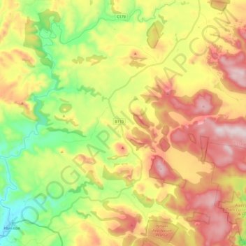 Hollow Tree topographic map, elevation, terrain