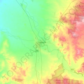 Gilgandra topographic map, elevation, terrain