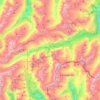 Rheinwald topographic map, elevation, terrain