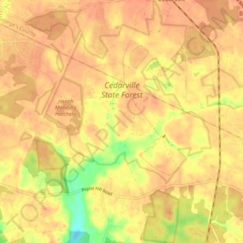 Cedarville State Forest topographic map, elevation, terrain