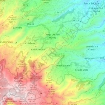 Vega de San Mateo topographic map, elevation, terrain