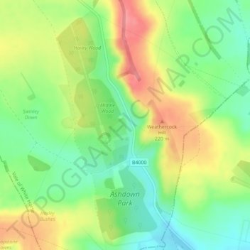 Ashdown Park topographic map, elevation, terrain