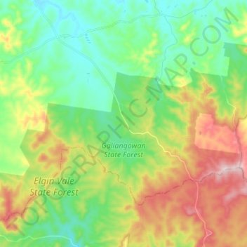 Gallangowan State Forest topographic map, elevation, terrain