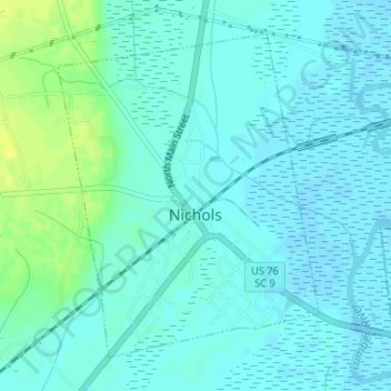 Nichols topographic map, elevation, terrain