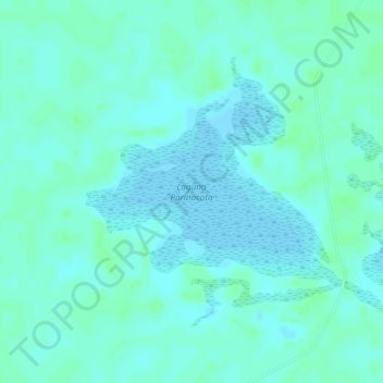 Laguna Parinacota topographic map, elevation, terrain