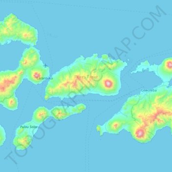 Flores Timur topographic map, elevation, terrain