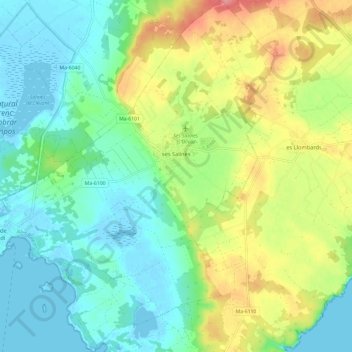 ses Salines topographic map, elevation, terrain