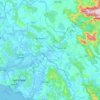 Bicholim topographic map, elevation, terrain