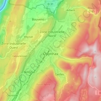 Oyonnax topographic map, elevation, terrain