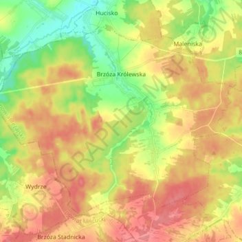 Brzóza Królewska topographic map, elevation, terrain