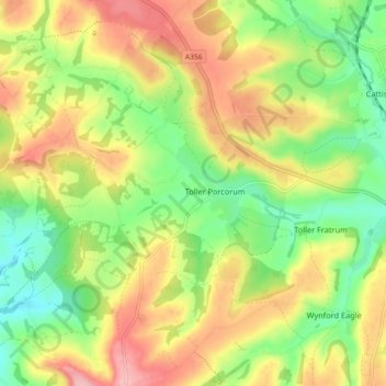 Toller Porcorum topographic map, elevation, terrain