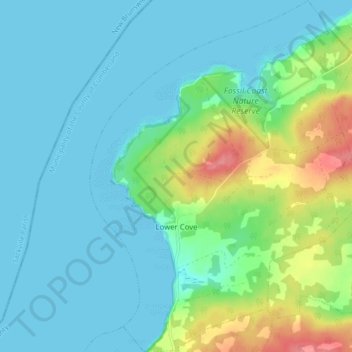 Lower Cove topographic map, elevation, terrain