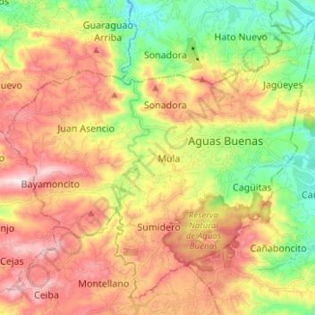 Aguas Buenas topographic map, elevation, terrain