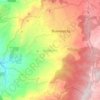 Buenavista topographic map, elevation, terrain