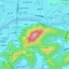Gifu Castle topographic map, elevation, terrain