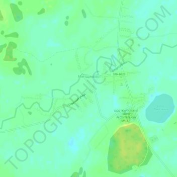 Менщиково topographic map, elevation, terrain