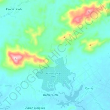 Desa Damar Lima, Batu Ampar, Tanah Laut topographic map, elevation, terrain