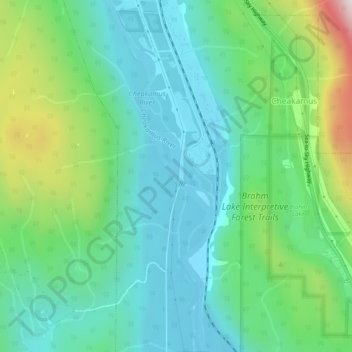 Cheakamus River topographic map, elevation, terrain