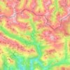 Bielsa topographic map, elevation, relief