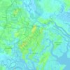 Savannah topographic map, elevation, relief